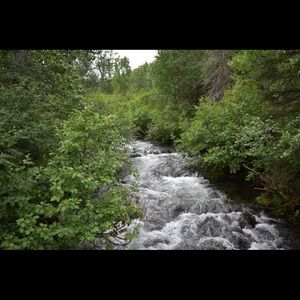 Meet your Posher, Jamie